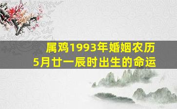 属鸡1993年婚姻农历5月廿一辰时出生的命运