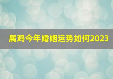 属鸡今年婚姻运势如何2023