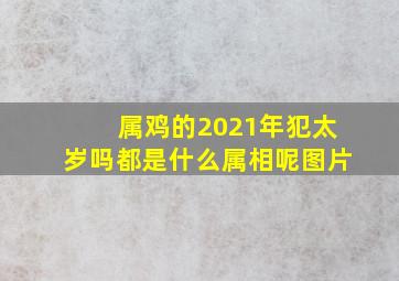 属鸡的2021年犯太岁吗都是什么属相呢图片