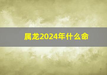 属龙2024年什么命