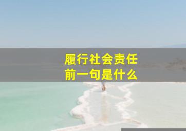 履行社会责任前一句是什么