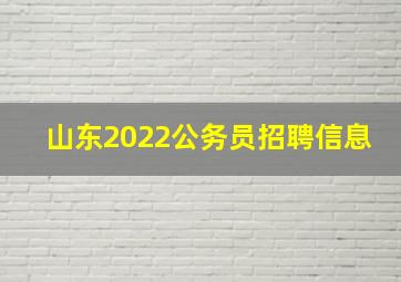 山东2022公务员招聘信息