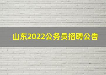 山东2022公务员招聘公告