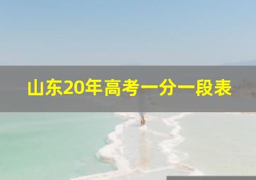 山东20年高考一分一段表