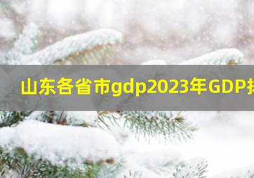 山东各省市gdp2023年GDP排行