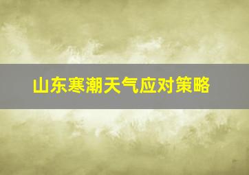 山东寒潮天气应对策略