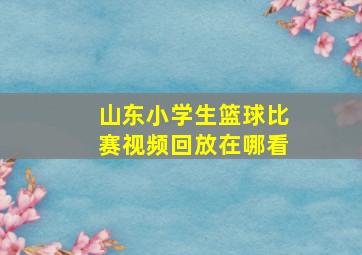 山东小学生篮球比赛视频回放在哪看