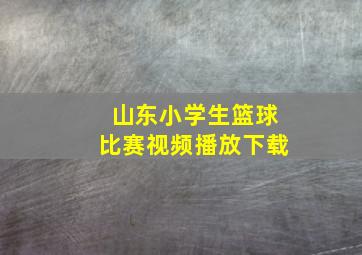 山东小学生篮球比赛视频播放下载