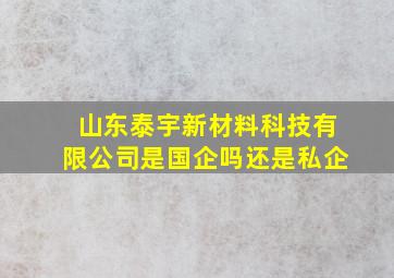 山东泰宇新材料科技有限公司是国企吗还是私企