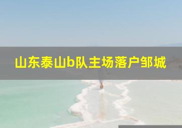 山东泰山b队主场落户邹城