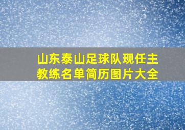 山东泰山足球队现任主教练名单简历图片大全