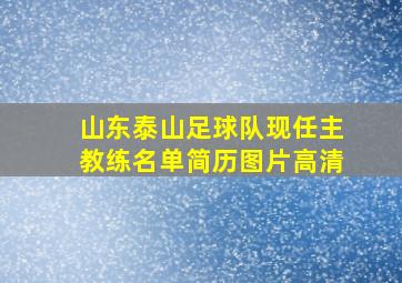 山东泰山足球队现任主教练名单简历图片高清