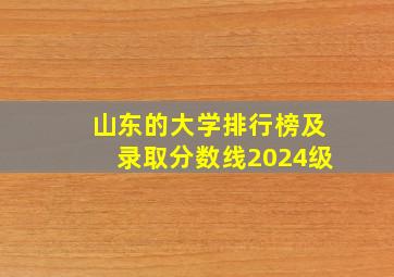 山东的大学排行榜及录取分数线2024级