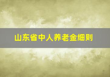 山东省中人养老金细则