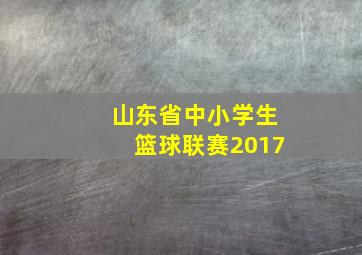 山东省中小学生篮球联赛2017