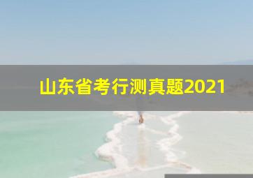 山东省考行测真题2021