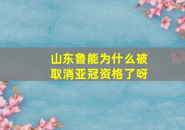 山东鲁能为什么被取消亚冠资格了呀