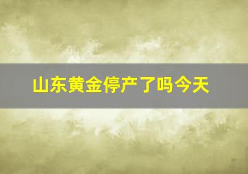 山东黄金停产了吗今天