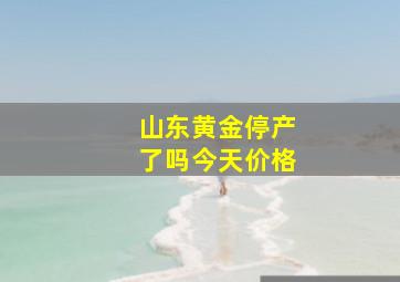 山东黄金停产了吗今天价格