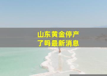 山东黄金停产了吗最新消息