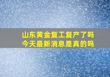 山东黄金复工复产了吗今天最新消息是真的吗