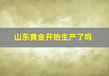 山东黄金开始生产了吗