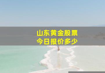 山东黄金股票今日报价多少