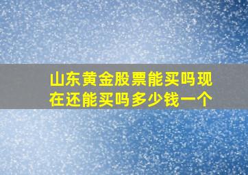 山东黄金股票能买吗现在还能买吗多少钱一个