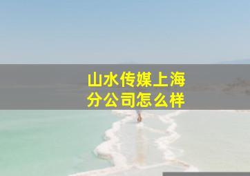 山水传媒上海分公司怎么样