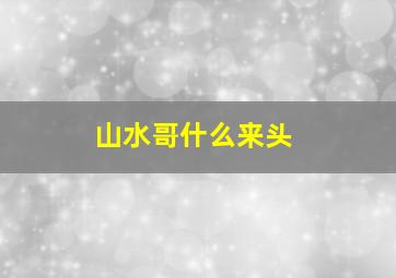 山水哥什么来头