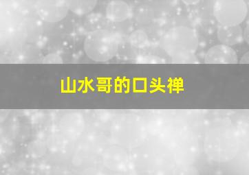 山水哥的口头禅