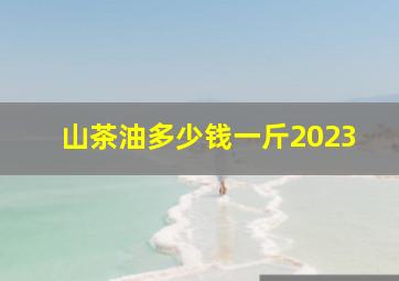 山茶油多少钱一斤2023