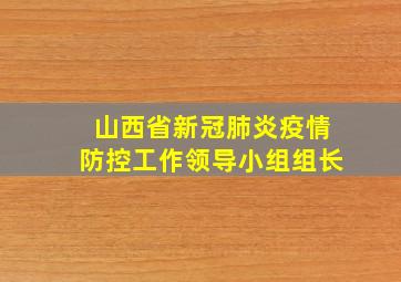 山西省新冠肺炎疫情防控工作领导小组组长