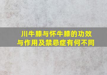 川牛膝与怀牛膝的功效与作用及禁忌症有何不同