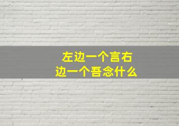 左边一个言右边一个吾念什么