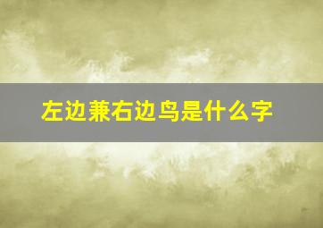 左边兼右边鸟是什么字