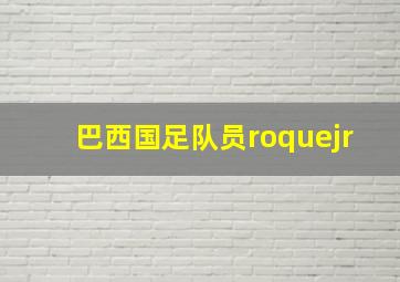 巴西国足队员roquejr