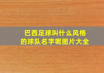 巴西足球叫什么风格的球队名字呢图片大全