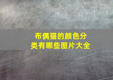 布偶猫的颜色分类有哪些图片大全