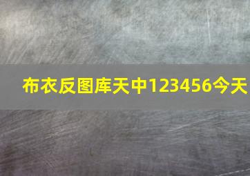 布衣反图库天中123456今天