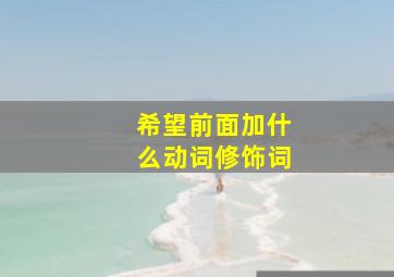 希望前面加什么动词修饰词