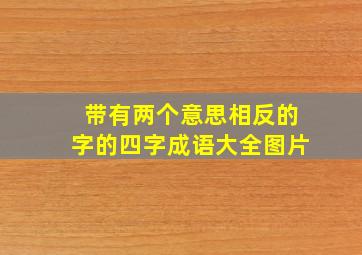 带有两个意思相反的字的四字成语大全图片