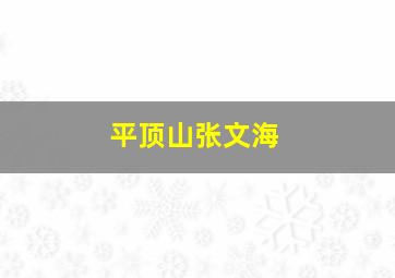 平顶山张文海