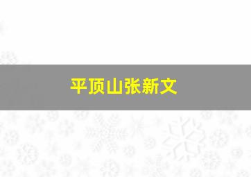 平顶山张新文