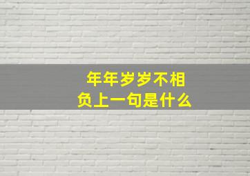 年年岁岁不相负上一句是什么