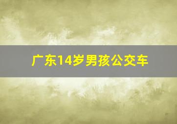 广东14岁男孩公交车