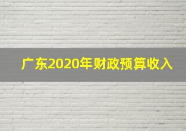 广东2020年财政预算收入