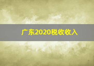 广东2020税收收入