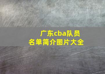 广东cba队员名单简介图片大全