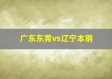 广东东莞vs辽宁本钢